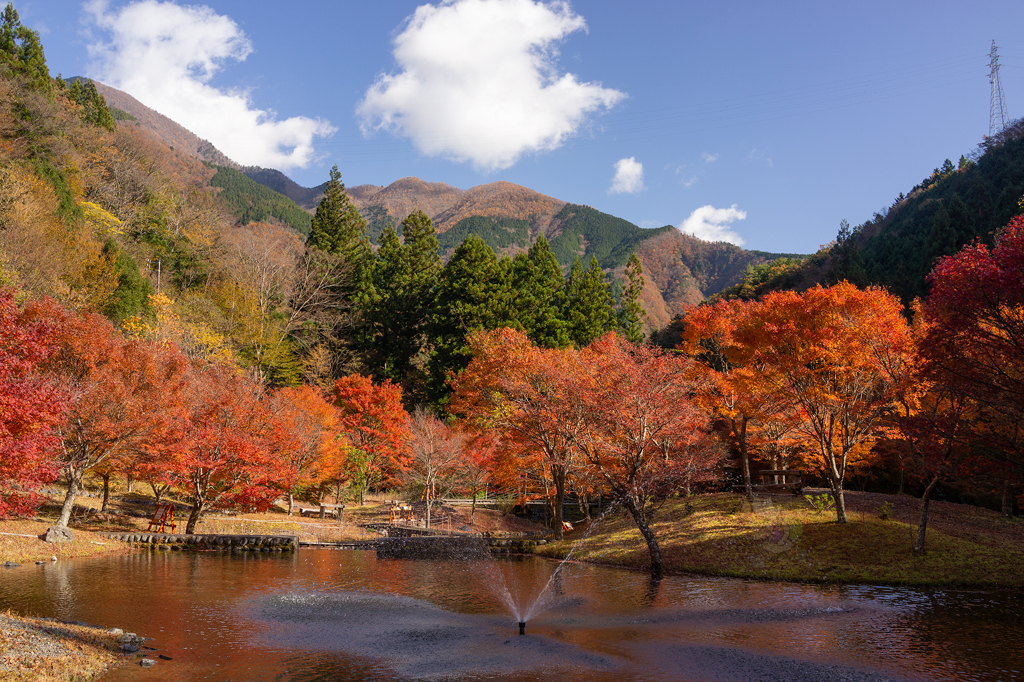 草履石公園