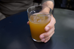 Hazy IPA 6.6%