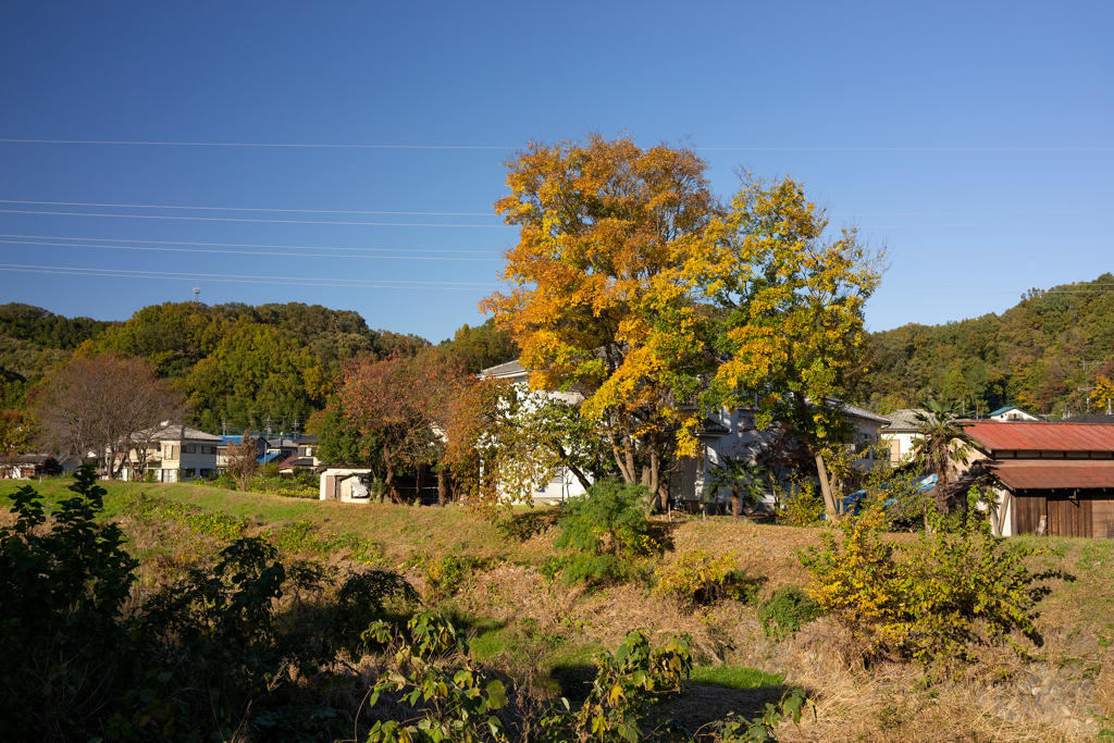 小川町①