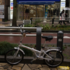 池袋　自転車①　with 小熊
