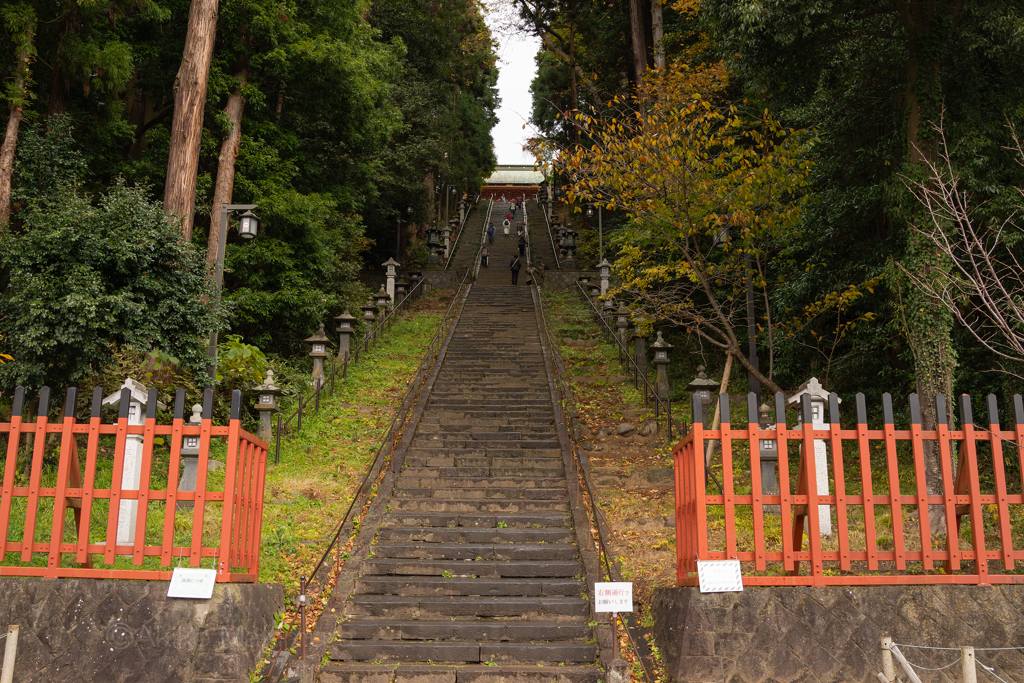 見上げれば202段