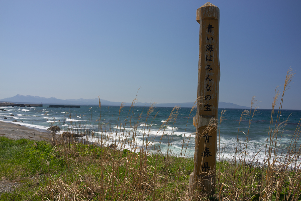 青い海はみんなの宝