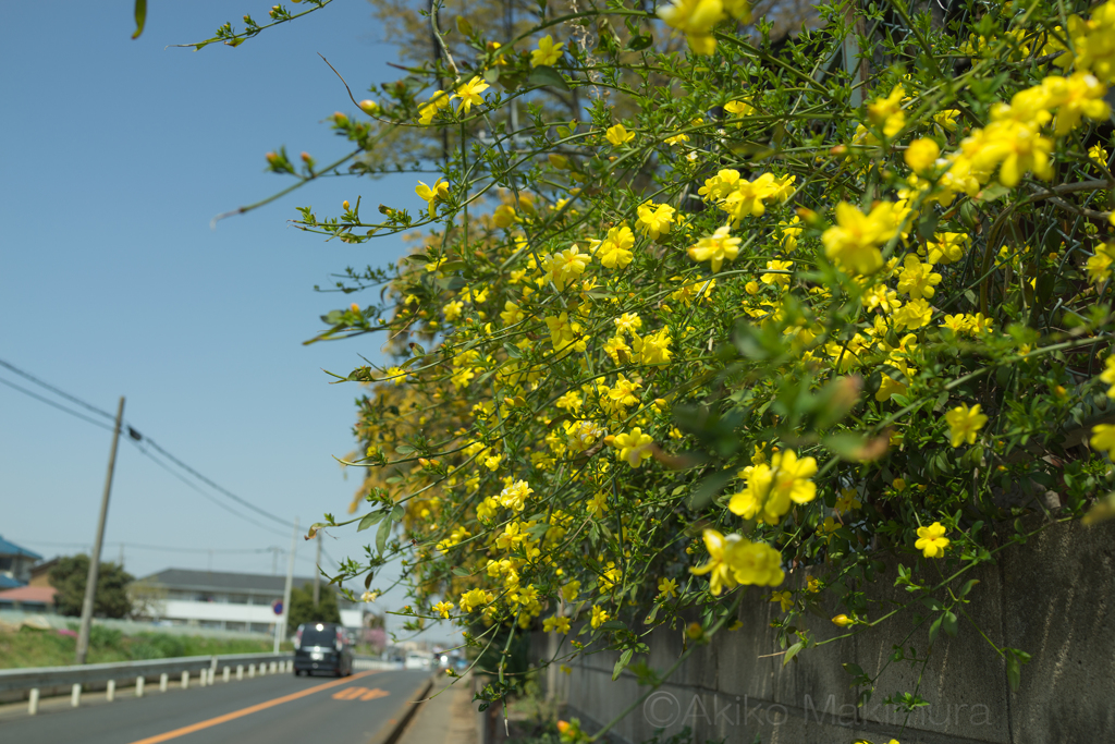 もっともっと