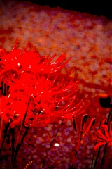 A109E89C-C618-4A24-9939-A7BFFF06146B-101
