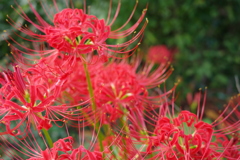 R0000192