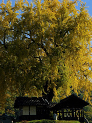 1542FBCF-A2D8-4679-8BD8-F872CAC5732C