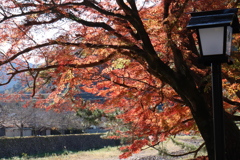 津和野7