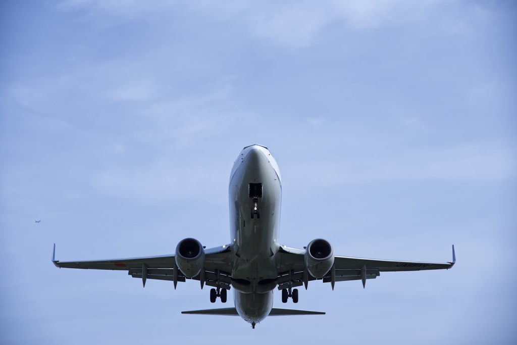 飛行機