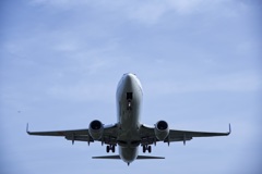飛行機