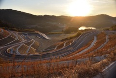 朝焼けの峠道