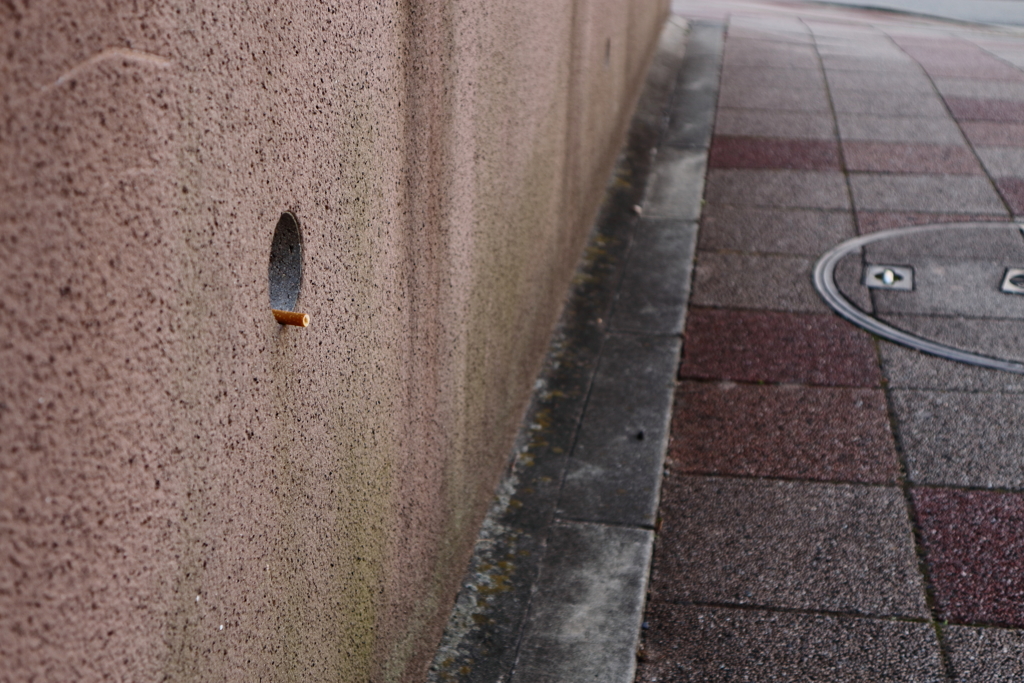 ポイ捨て
