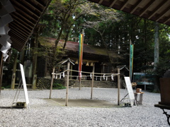 社