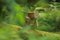 森に住む