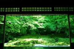 瑠璃光院