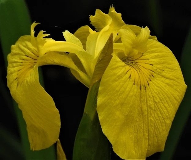 IMG_20180520_204111_577