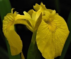 IMG_20180520_204111_577