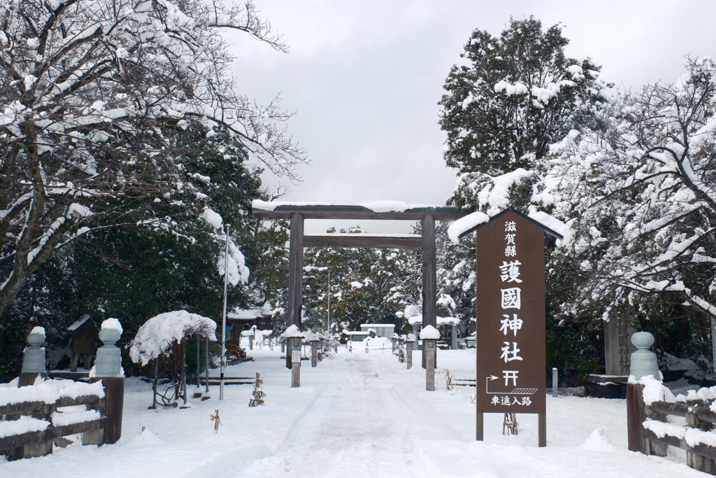 ある大雪の散策１