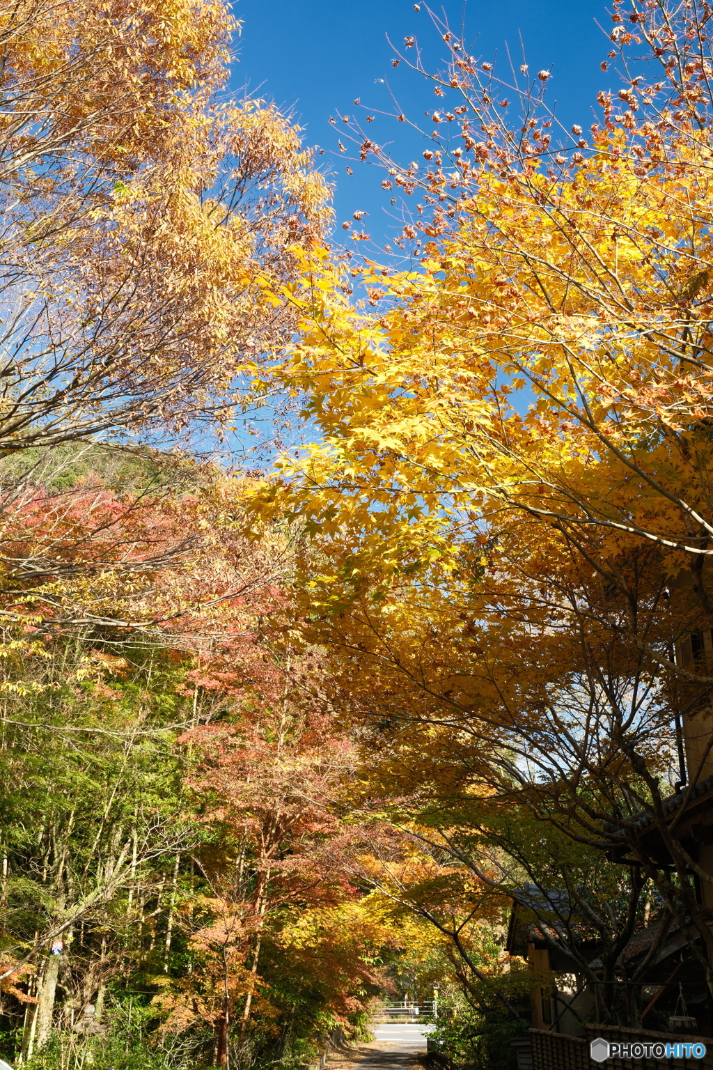 秘境で穴場な紅葉の旅１１