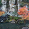曇り予報であったが割と晴れた紅葉巡り１
