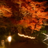 石山寺 あたら夜もみじ７