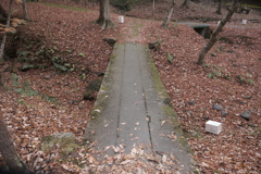 広がる枯葉