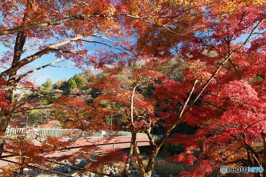 香嵐渓の紅葉１７