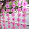 天気が良かった日の寄り道４