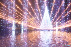 環水公園スイートイルミネーション2024-1