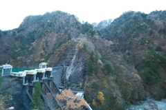 トロッコ列車に乗って2024-4