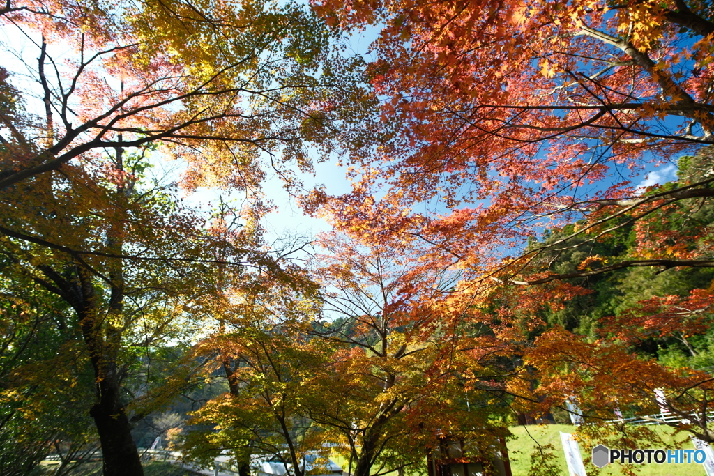 秘境で穴場な紅葉の旅１３