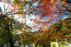 秘境で穴場な紅葉の旅１３