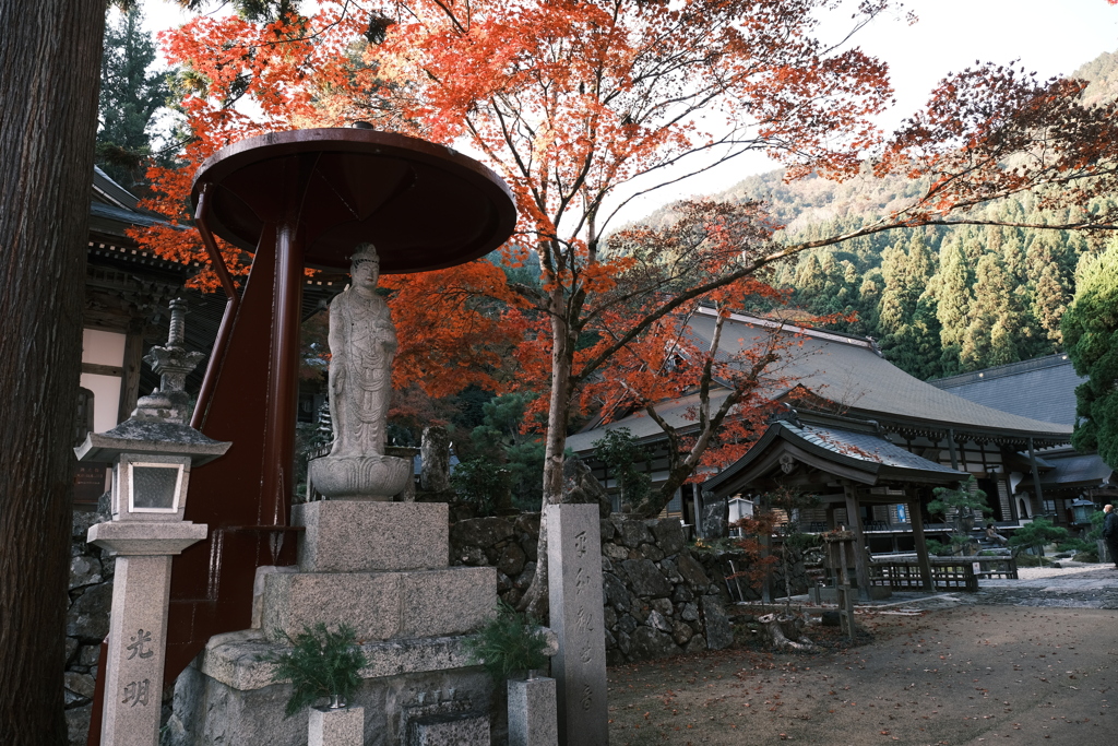 仕事は休業中、紅葉はフル稼働、長安寺にて８