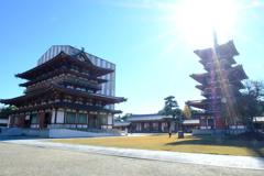 冷え込む朝晩と眩い日中２