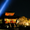 清水寺、桜のライトアップ1