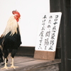 いがいと鶏に夢中７