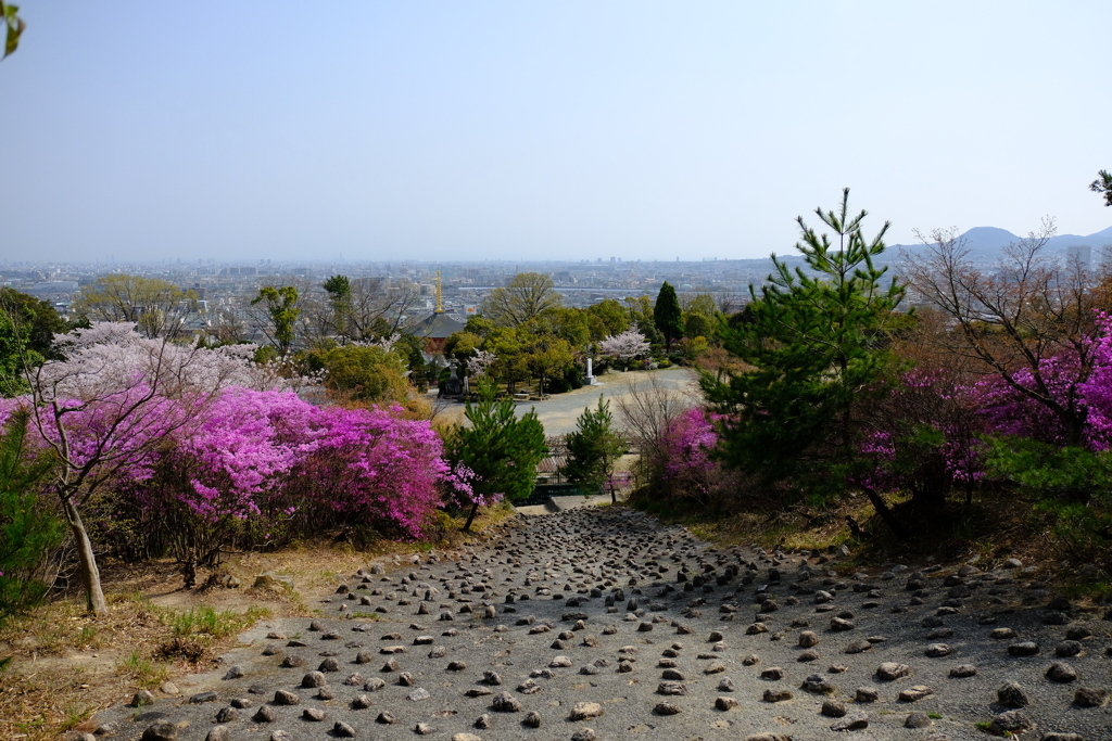 中山観音公園にて２