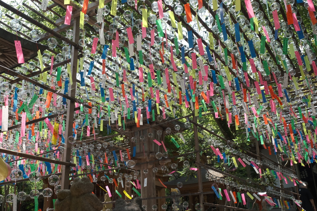 帰省中に出かけたかえる寺９