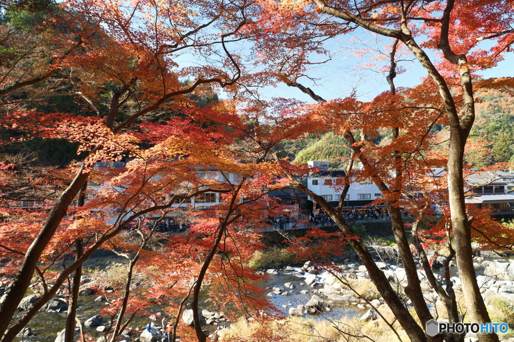 香嵐渓の紅葉１２