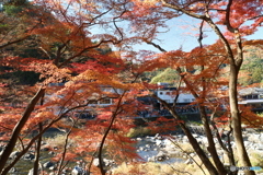 香嵐渓の紅葉１２
