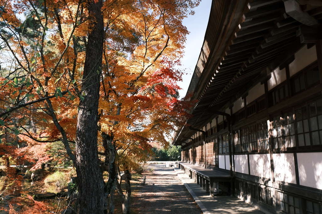 濃霧から晴れた後も晴空は続く５