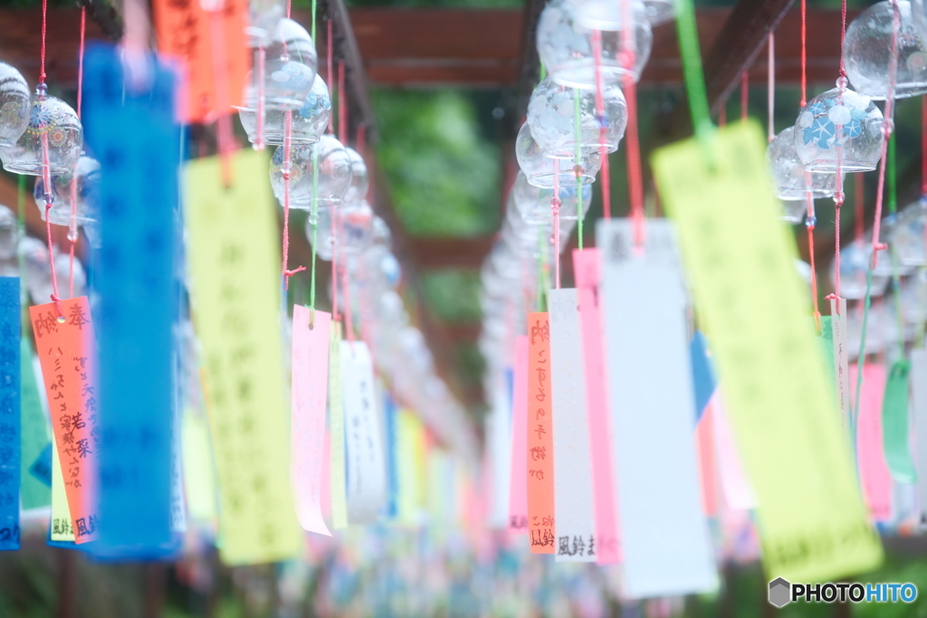 盆休み早々の雨の中だった時３