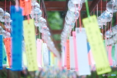 盆休み早々の雨の中だった時３