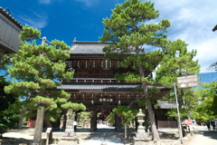 灼熱の天橋立２