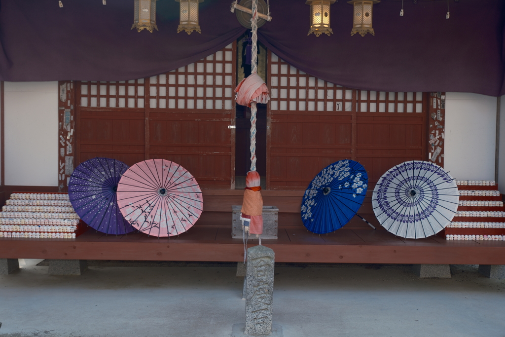 桜の季節で数少ない週末晴れた時８
