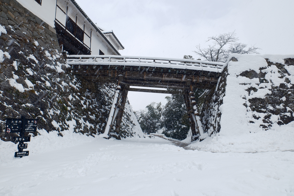 ある大雪の散策１３