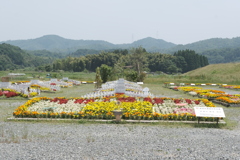 6月にして真夏にような暑さ７