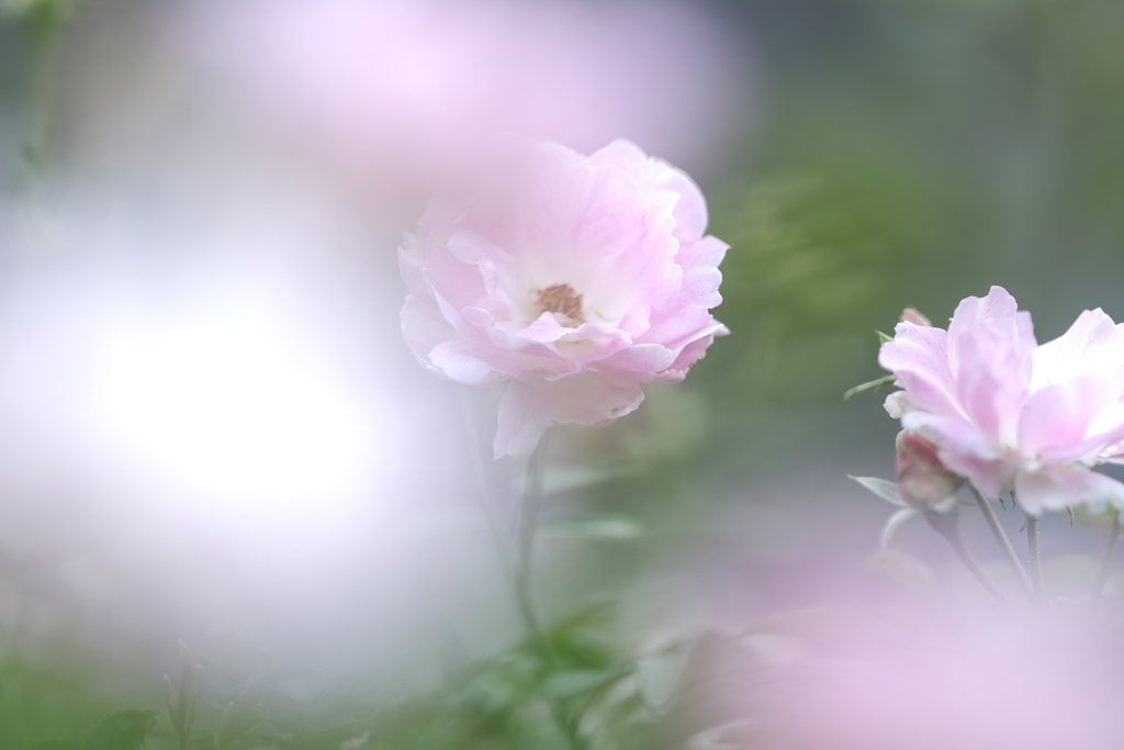中々思い通りに計画が立てれないとき１