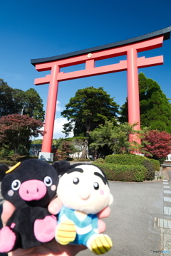 思えば九州で紅葉を撮りに行くのは初めての旅だった８