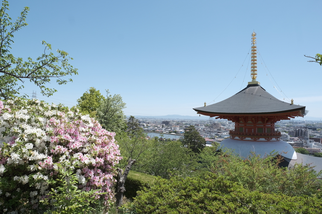 運動不足解消に近所でお写んぽ１３