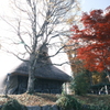 飛騨の里の紅葉巡り散水訓練１